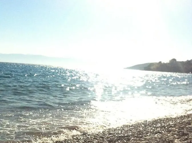 Aloe Luxury Lejlighedshotel