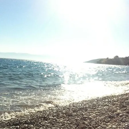 Aloe Luxury アパートホテル